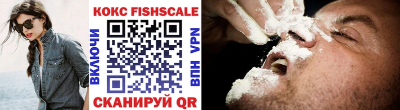 Купить где  Котово  COCAIN FishScale 