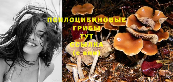 соль курить ск Заводоуковск