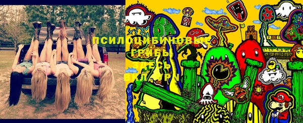 соль курить ск Заводоуковск