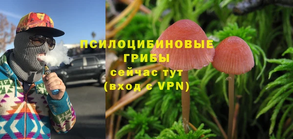MESCALINE Заволжье