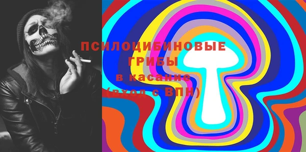 соль курить ск Заводоуковск
