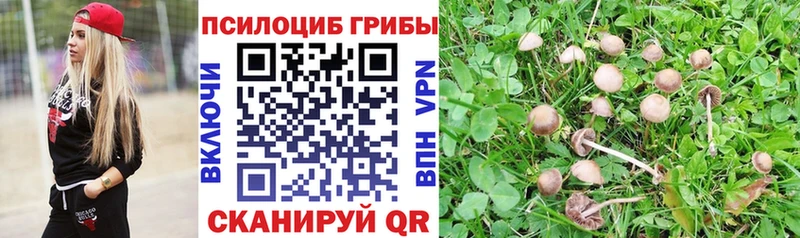 Купить закладки  Котово  Галлюциногенные грибы Magic Shrooms 